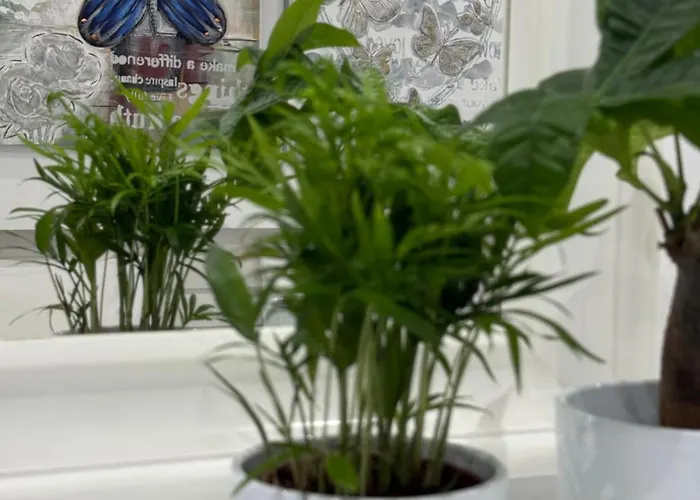 Lights Of Paradise - Your Happy Escape Апартаменты