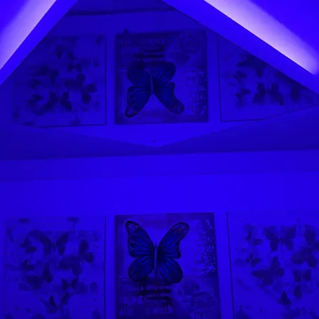 Lights Of Paradise - Your Happy Escape * Ayia Napa